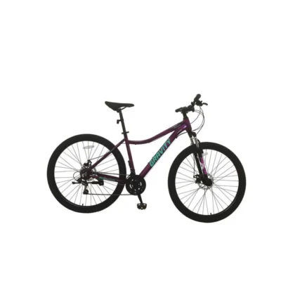 BICICLETA GRAVITY ROD 29 DABOMB CAÑO CURVO