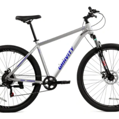 BICICLETA GRAVITY ROD 29 SALTY